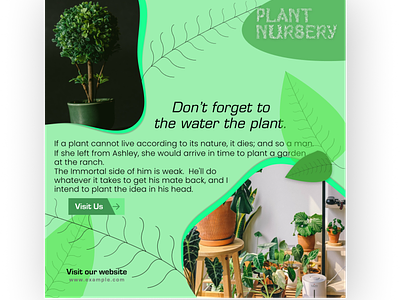 Instagram Post / Plant Nursery Post design figma figma social post plant nursery plants post post posts social media social media post