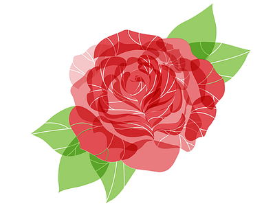 Dear Caroline flowers illustration illustrator roses vector