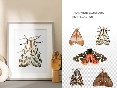 Watercolor moth aquarell butterfly collection colorful design illustration moth watercolor