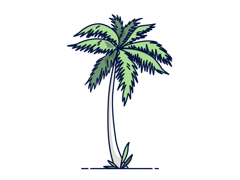 Stay Safe animation design graphic design hurricane illustration palm tree prayers safety wind