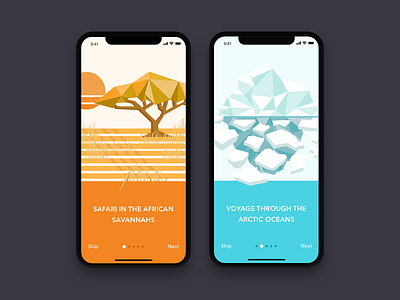 Storybook App Walkthrough arctic geometric iceberg illustration iphone x on boarding safari storybook walkthrough
