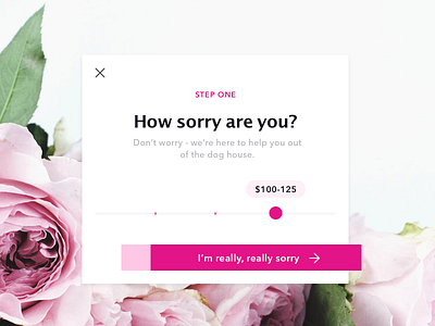 How sorry are you? design ecommerce floral personalization ui