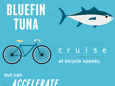 World Tuna Day Graphic bicycle fish illustration tuna