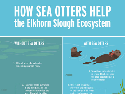 Elkhorn Slough Ecosystem Infographic ecosystems infographic made with invision sea otters