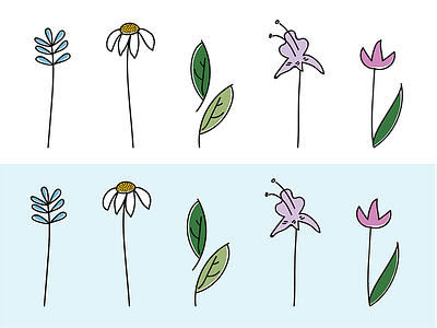 fleur flowers illustration