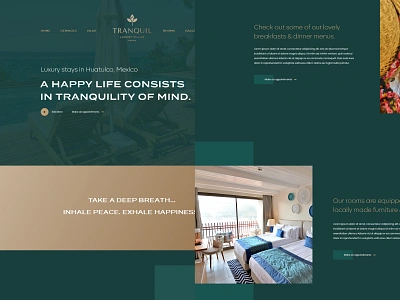 Tranquil Website brand identity calm chill lotus luxury luxury brand luxury identity luxury villas luxury website palm palm leaves relax tranquil vacation villa visual identity website website design