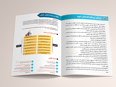 Brochure accounting branding brochure design graphic design illustration illustrator vector