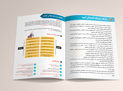 Brochure accounting branding brochure design graphic design illustration illustrator vector
