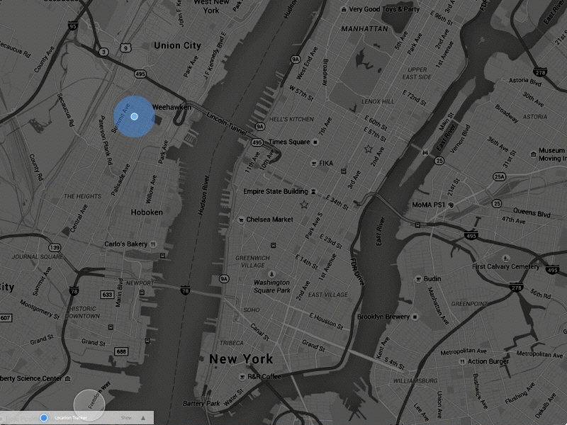 Location Tracker 020 dailyui location tracker map