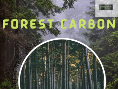Forest Carbon - Global Forest