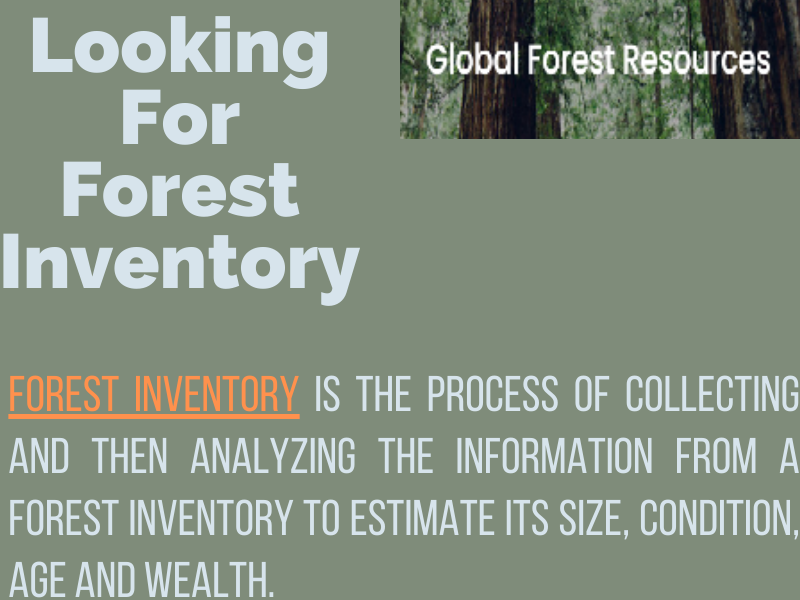 Looking For Forest Inventory in USA