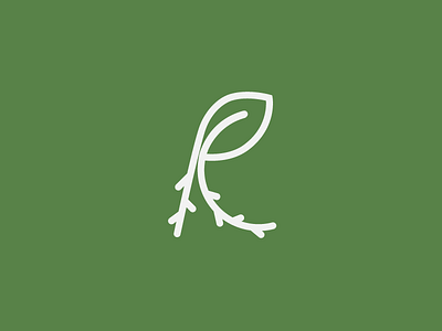 Roots green leaf logo roots vector