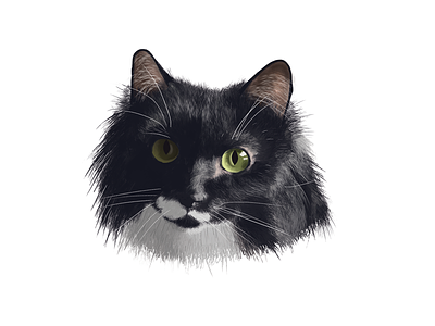 Lafayette 2d art cat digital painting illustration painting photoshop