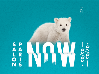 NOW | Event Branding advertising bear branding design ecology enviroment logo polar typography vector