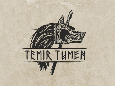 TEMIR 2