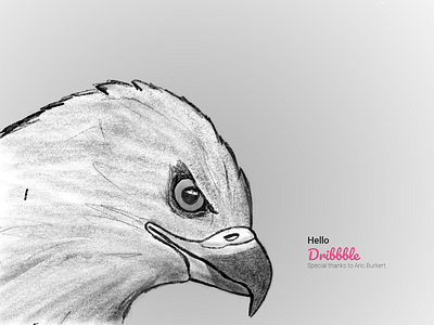 Hello Dribbble! drawing illustration sketch