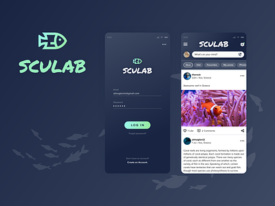Sculab login and feed app app design branding design ui ux