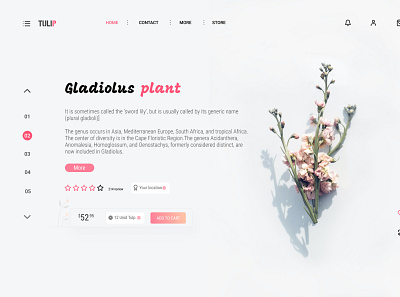 TULIP -WEB UI DESING figma graphic design ui ui desong
