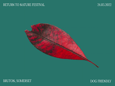 Return to nature animation festival graphic design motion graphics trimpath