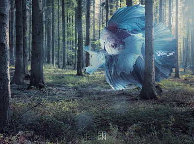 Forest betta fish an angel floating in the garden digital imaging graphic design montain