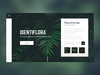 Identiflora Landing Page floral foliage green landing page leaves plants search ux website