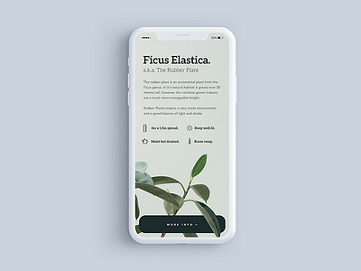 Plant Care App Dribbble app brief box care foliage green iphone leaves mobile plant quick ui