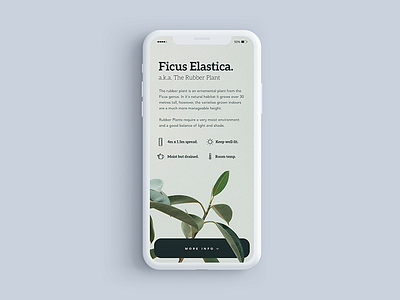 Plant Care App Dribbble