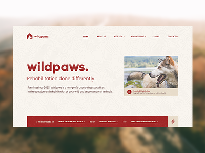 Wildpaws Website Design animal charity dog hero map shelter website wild wolves woods