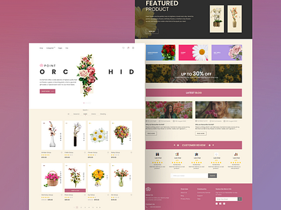 Orchid Shop Web UI Landing Page Design
