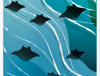Manta rays adobe branding design graphic design illustration illustrator island ocean science sea vector