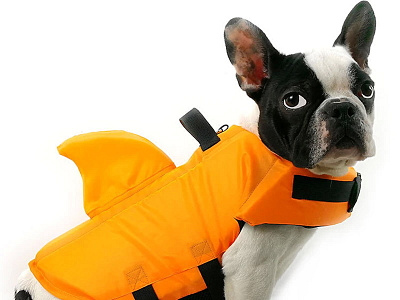 Piang Gouer Dog Shark Swimming Suit