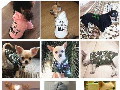 Shake Tail Hoodie Dog Clothes