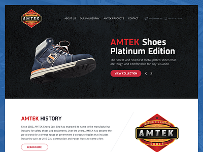 AMTEK Shoes