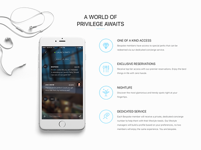 Bespoke Privilege features landing page user interface website
