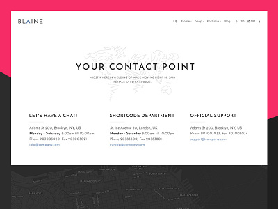 BLAINE - Sneek ecommerce envato flat gorgeous landing minimal themeforest ui