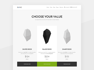 BAINE - Pricing Page Sneak