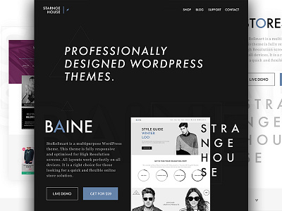 Strange House - Landing Redesign ecommerce landing modern seo theme ui ux wordpress wp