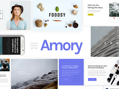 Amory - Responsive Multipurpose WordPress Builder design ecommerce landing modest product showcase slider theme ui ux wordpress