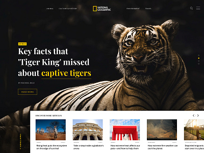 NatGeo Homepage Homepage Study article black clean design homepage national national geographic tiger ui design yellow