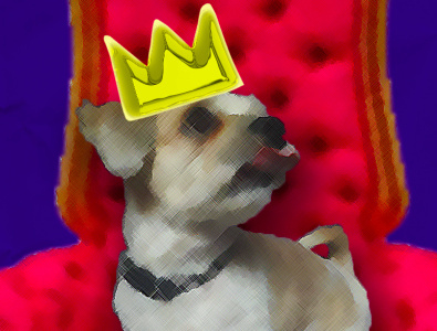 Dog King assignment comedy dog funny graphic design king montage not serious simple