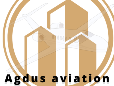 Aviation Logo branding canva design design graphic design logo logo design mascot typography