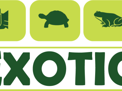 EXOTIC LIFE LOGO