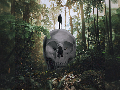 Skull in The Jungle design graphic design illustration illustrative jungle logo photomontage skull] sky