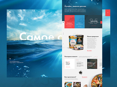 Dalpromryba - Main Page Landing can canned food cyrillic fish landing news ocean product shop topography tuna