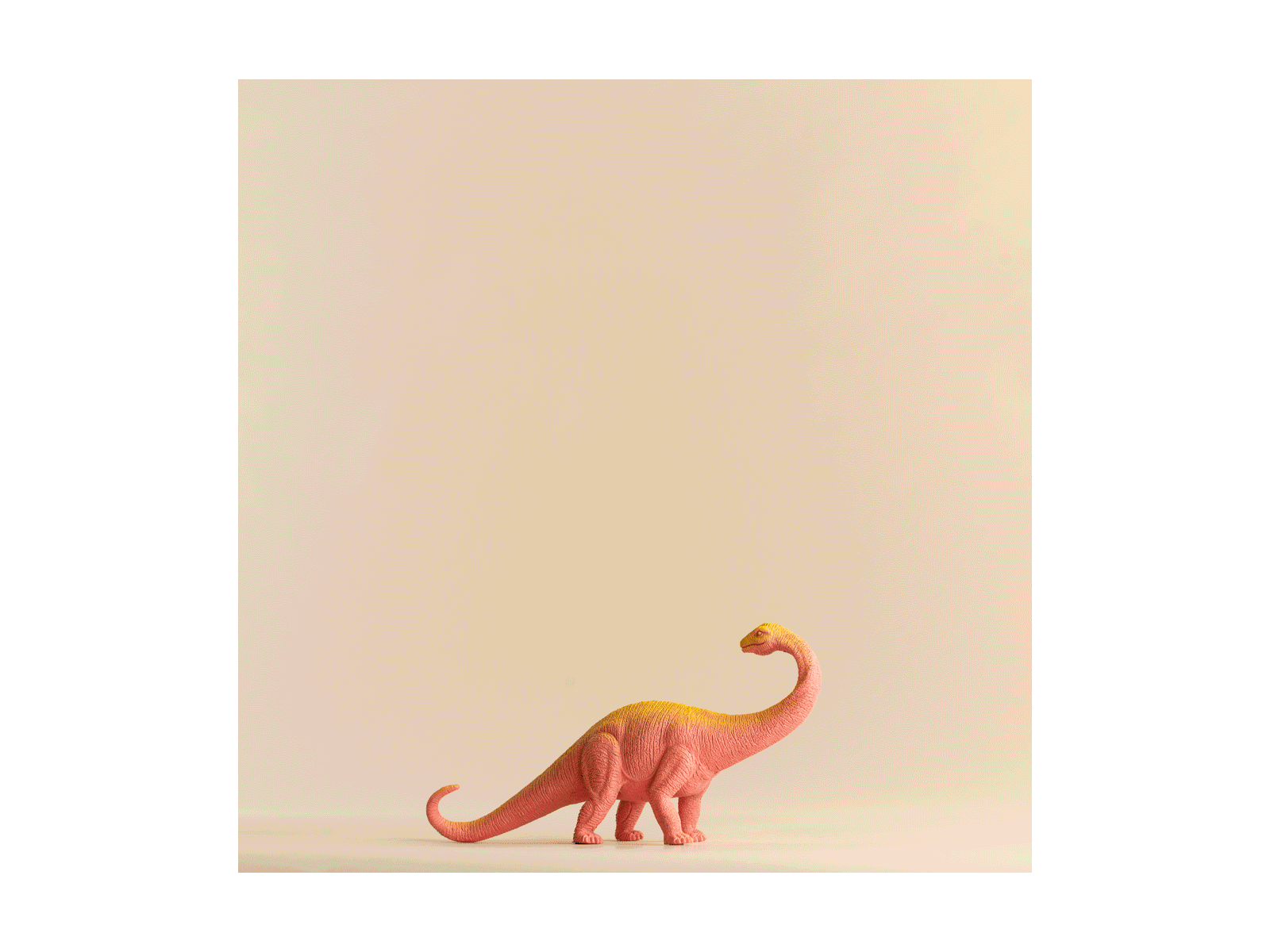 Go, Dinos, Go! art direction dinosaurs instagram post photography visualdesign