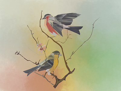 Birds in spring... adobe design illustration vector