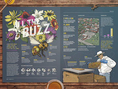 All the Buzz Honey Bee Editorial apiarists bright drawn flowers hand honey illustration ink layout magazine spread