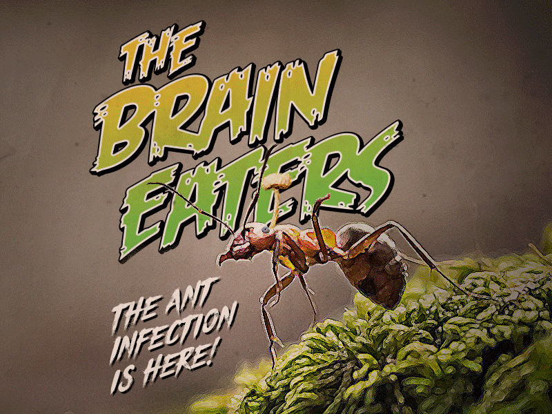 Zombie Ants Horror Style Infographic 1950s animal ants bugs font insect movies text tutorial type