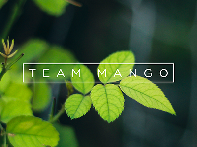 Branding for a personal project mango