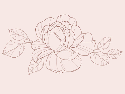 full bloom flower drawing graphic design illustration vector